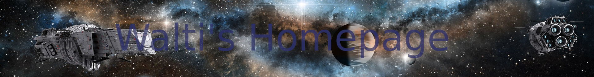 waltis-homepage
